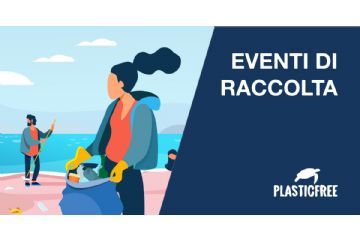 Passeggiata ecologica con Plastic Free