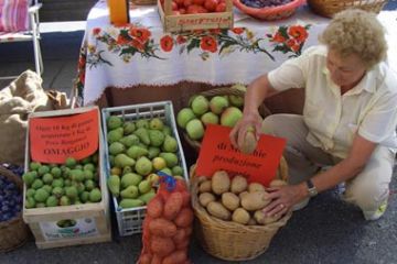 Sagra della Patata - Patate