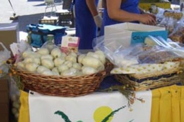 Sagra della Patata - Bancarella