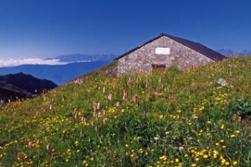 Chiet Grosso (Ft. Giorgia Allais)