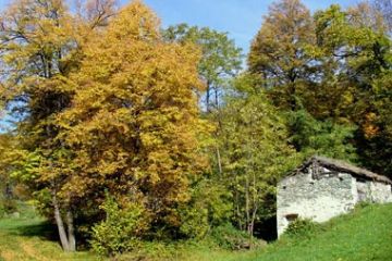 Mocchie - Autunno 2006 (Ft. Giorgia Allais)