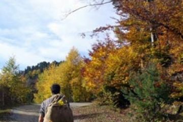 Strada di Prato del Rio - Autunno 2006 (Ft. Giorgia Allais)