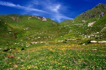 Verso la Portia (Ft. Giorgia Allais)