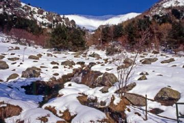 Conca Vaccherezza in inverno (Ft. Giorgia Allais)