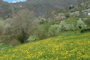 Prati di Mocchie - Primavera 2006 (Ft. Giorgia Allais)