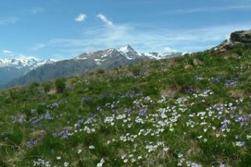 Salendo a Roca Patania - Maggio 2006 (Ft. Giorgia Allais)