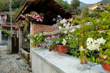 Concorso &quot;Condove fiorita&quot;